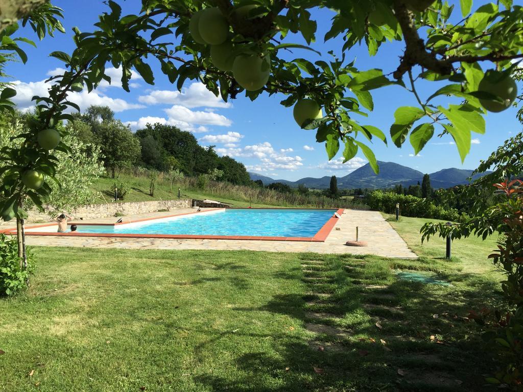 Agricola Caicucci Villa Montone  Room photo